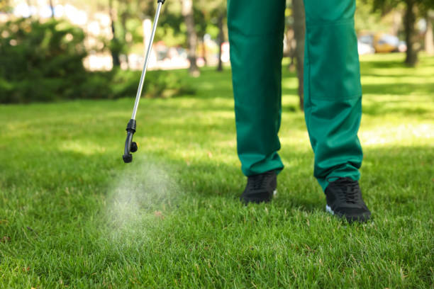 Professional Pest Control in Eden, TX