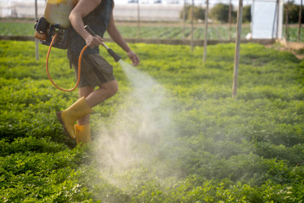 Professional Pest Control in Eden, TX
