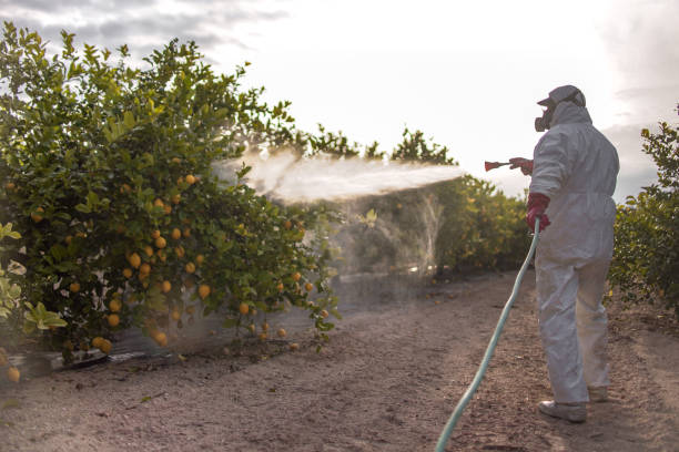 Best Pest Control Near Me  in Eden, TX