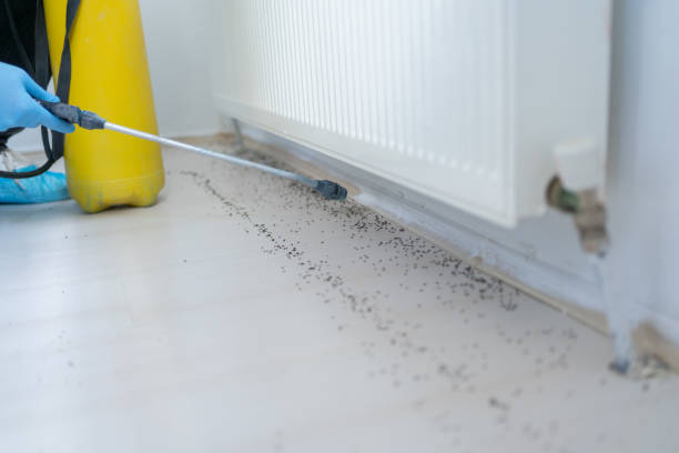 Best Emergency Pest Control  in Eden, TX