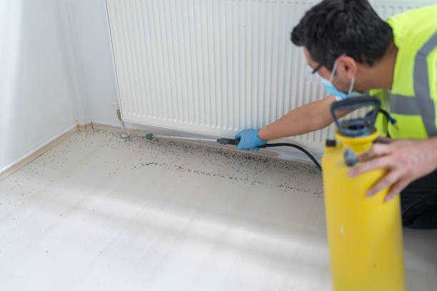 Pest Control Cost in Eden, TX